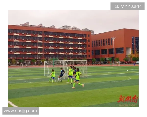 资阳足球三大球星揭晓 他们如何在绿茵场上书写辉煌历史