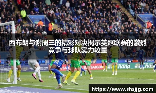 优游国际